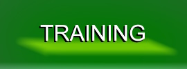 Glenda can help you master writing and more...