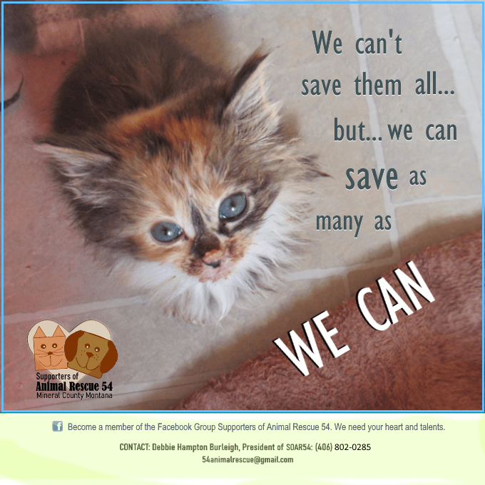 Supporters of Animal Rescue 54 Mineral County Montana Saves As Many As WE CAN